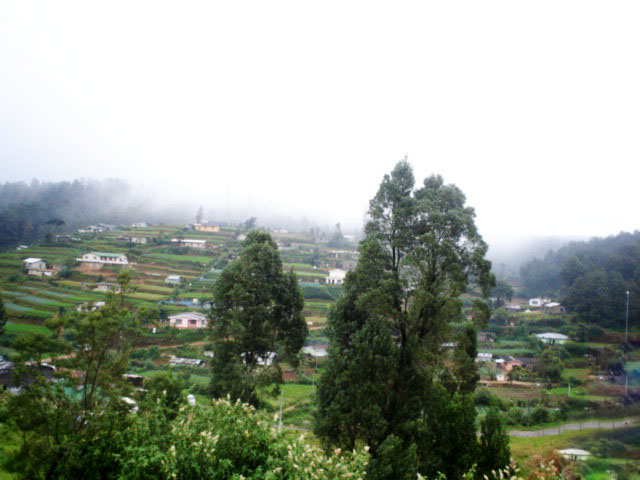 Nuwara Eliya House for sale