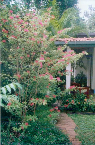 Boralesgamuwa Land with house for sale/rent