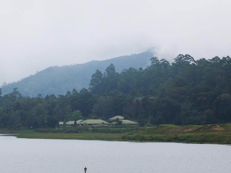 Nuwara Eliya House for sale