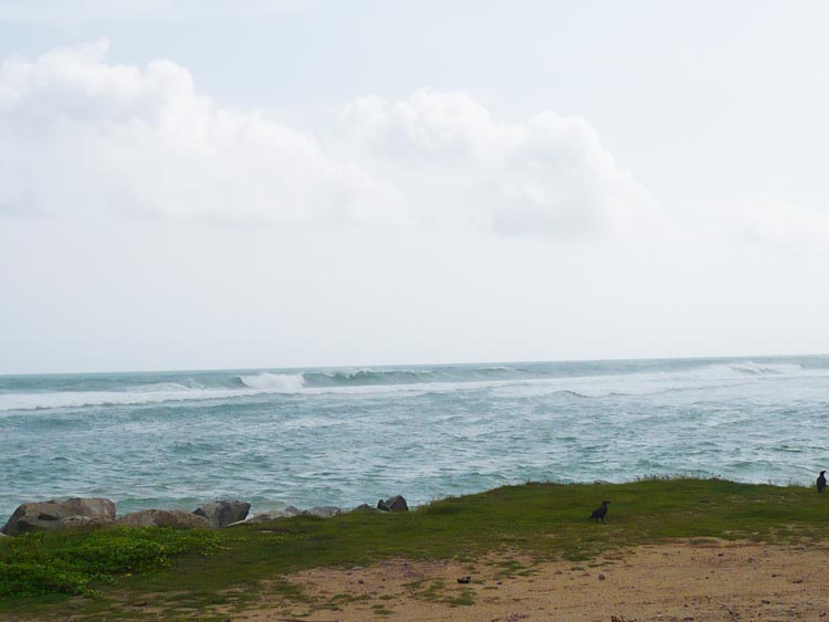 Galle Bare Land for sale