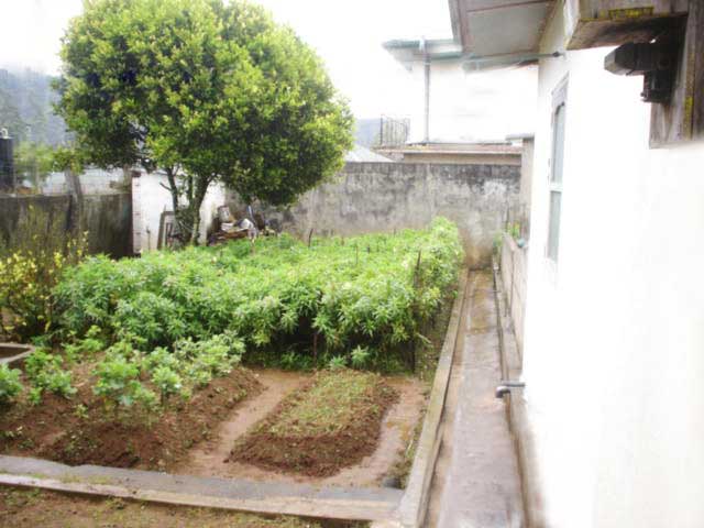 Nuwara Eliya House for sale