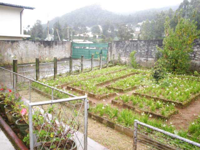 Nuwara Eliya House for sale