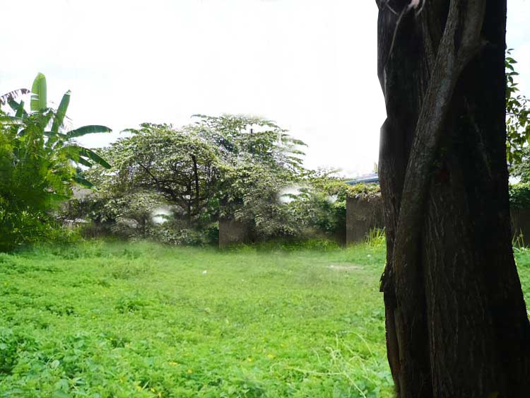 Rajagiriya Bare Land for sale