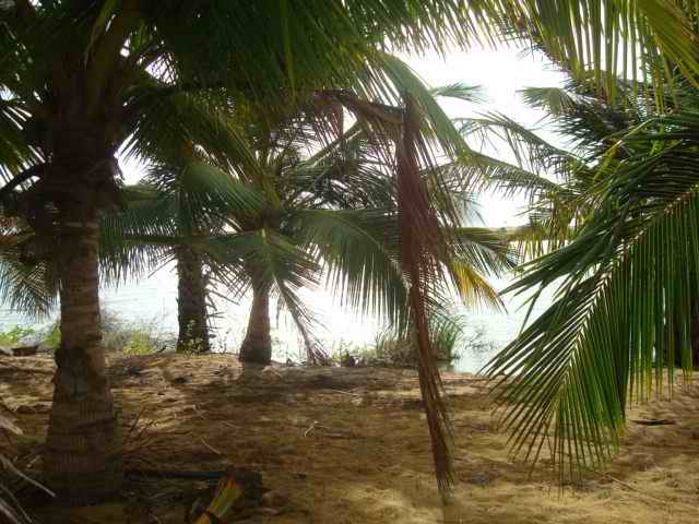 Kalpitiya Land for sale