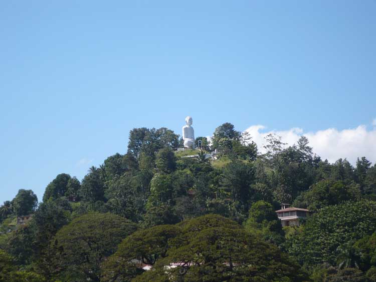 Kandy Bare Land for sale