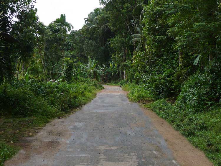 Baduraliya Cultivated Land for sale