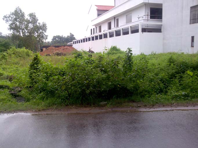 Lake Drive Bare Land for sale/rent