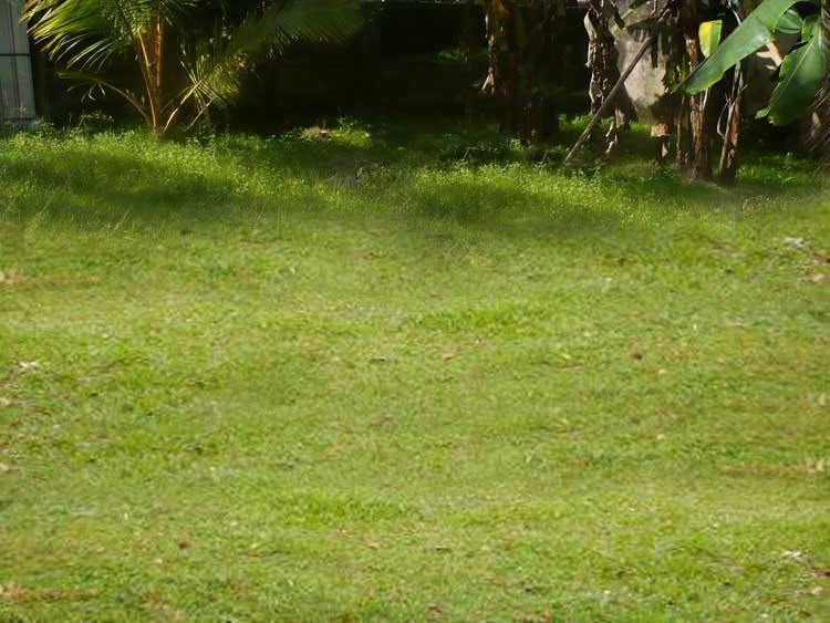 Maharagama Bare Land for sale