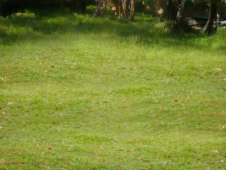 Maharagama Bare Land for sale