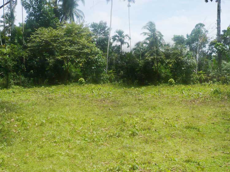 Pannipitiya Bare Land for sale/rent