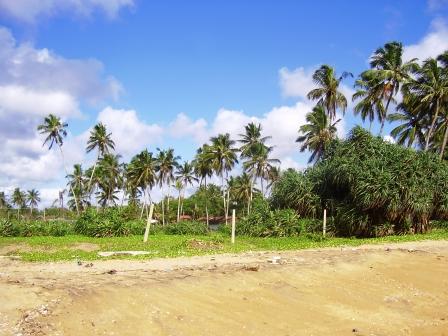 Kalutara Beachfront land for sale