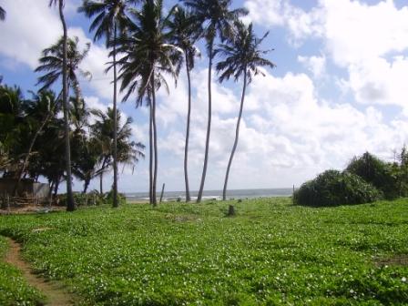 Kalutara Beachfront land for sale