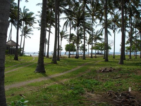 Unawatuna Coconut land for sale/rent