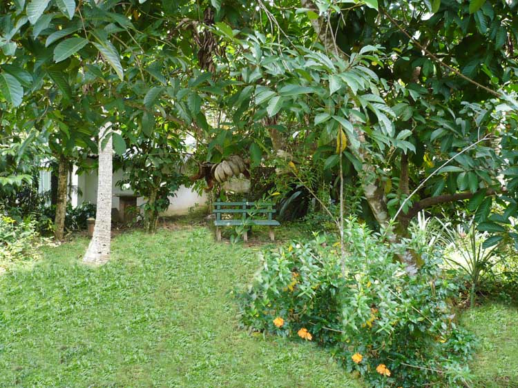 Yakkala Bare Land for sale