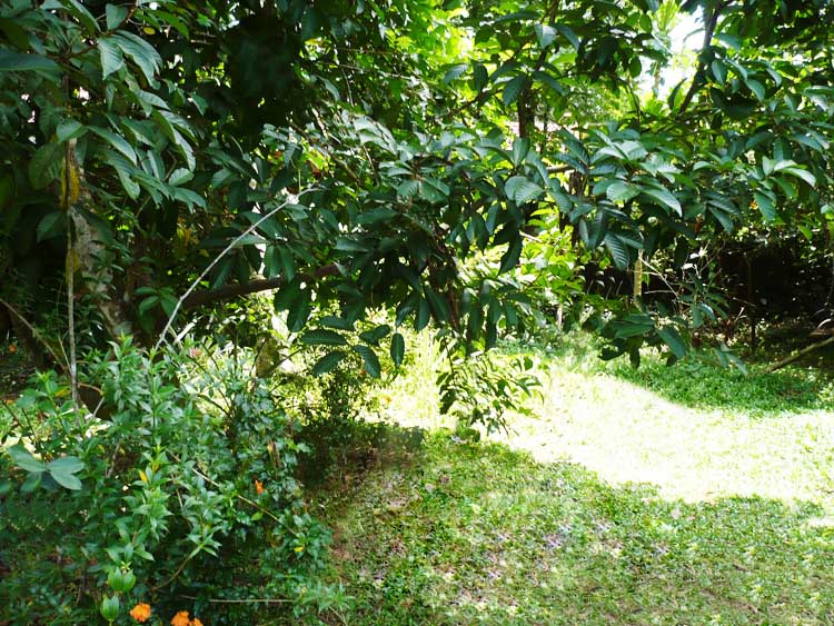 Yakkala Bare Land for sale