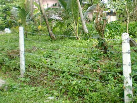 Gampaha Bare Land for sale/rent