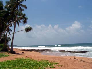 Kosgoda Bare Land for sale