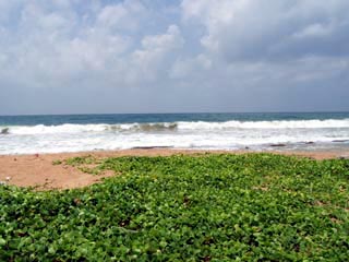 Kosgoda Bare Land for sale