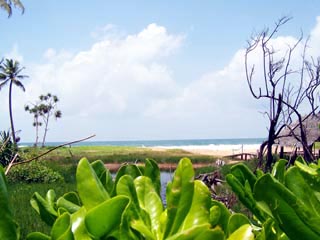 Kosgoda Bare Land for sale