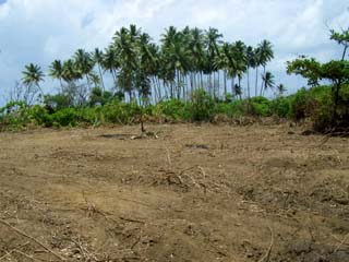 Kosgoda Bare Land for sale