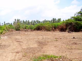 Kosgoda Bare Land for sale