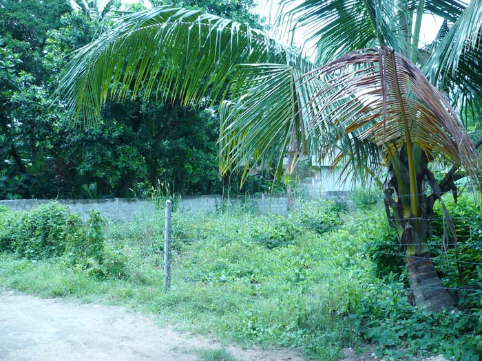 Nugegoda Bare Land for sale/rent