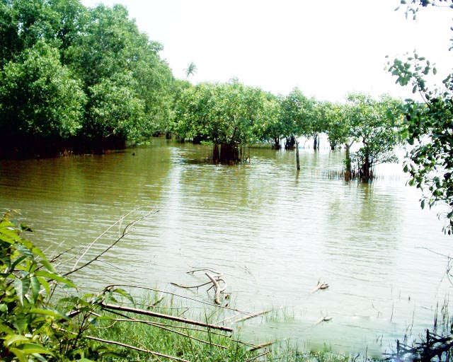Tangalle Land for sale