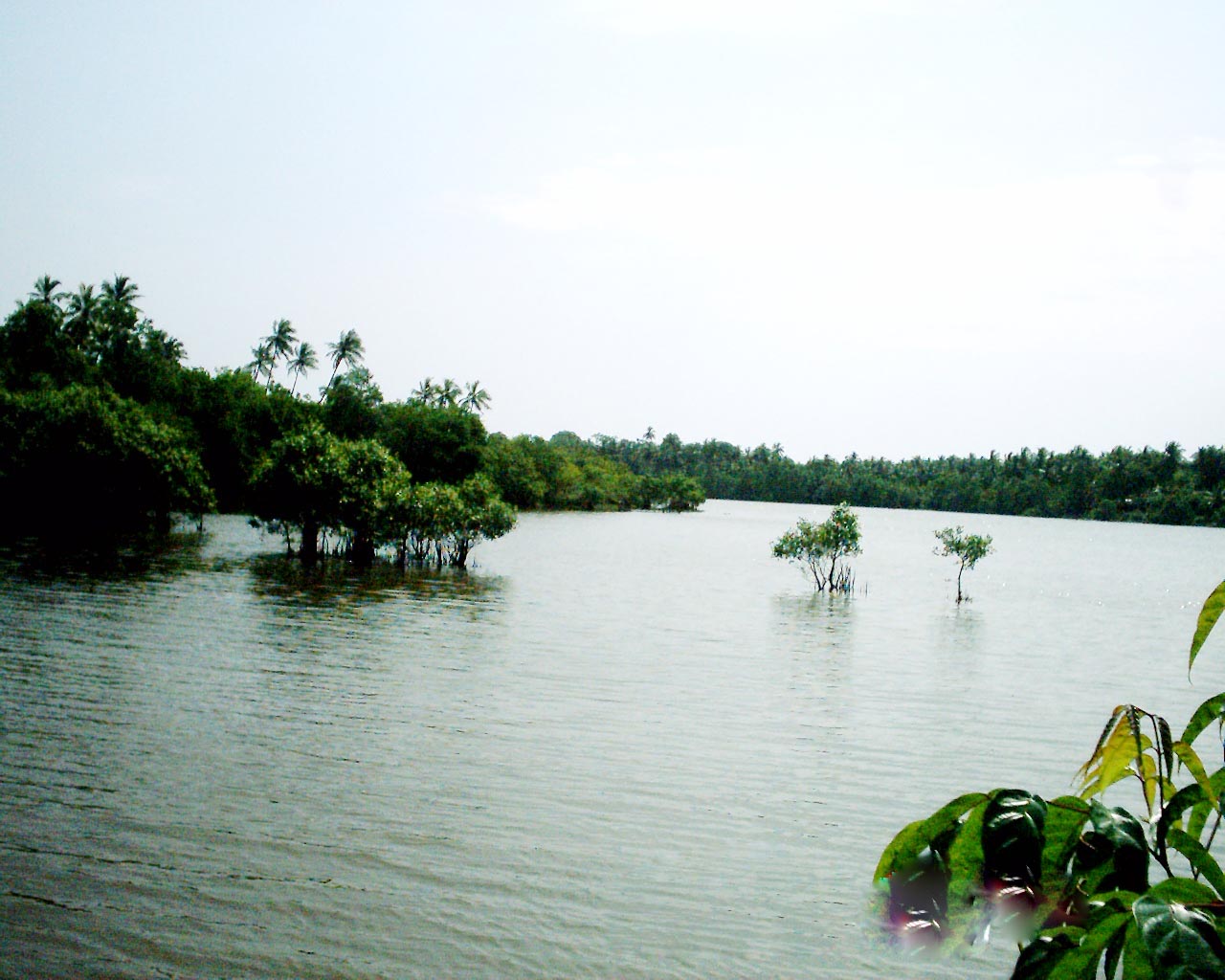 Tangalle Land for sale