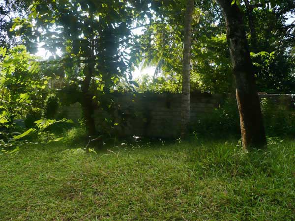 Ranpokunugama Bare Land for sale/rent