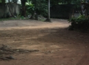 Dehiwala Bare Land for sale/rent
