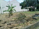 Kandy Bare Land for sale/rent