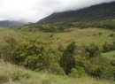 Kandy Cultivated Land for sale/rent