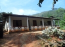 Kandy Cultivated Land for sale/rent