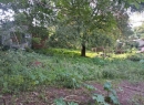Kandy Bare Land for sale/rent