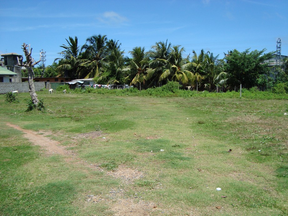 Dehiwala Bare Land for sale/rent