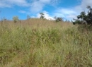 Matale Bare Land for sale/rent