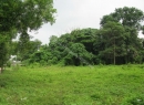 Battaramulla Bare Land for sale/rent