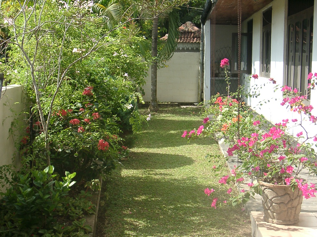 Panadura House for sale/rent