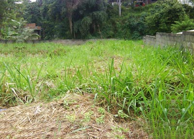Kandy Bare Land for sale/rent