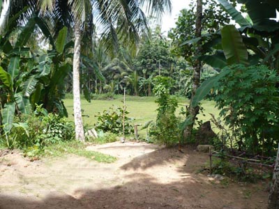 Pannipitiya Bare Land for sale/rent