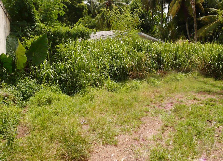 Nugegoda Bare Land for sale/rent