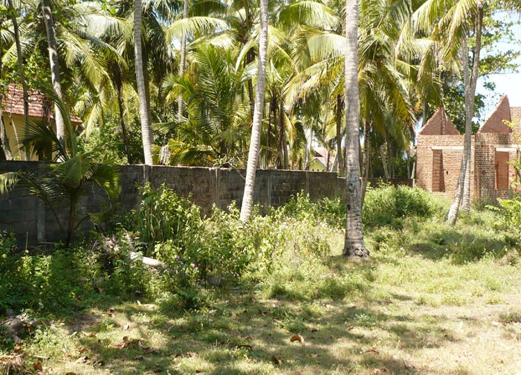 Gampaha Bare Land for sale/rent
