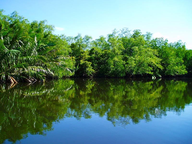 Bentota Land for sale/rent