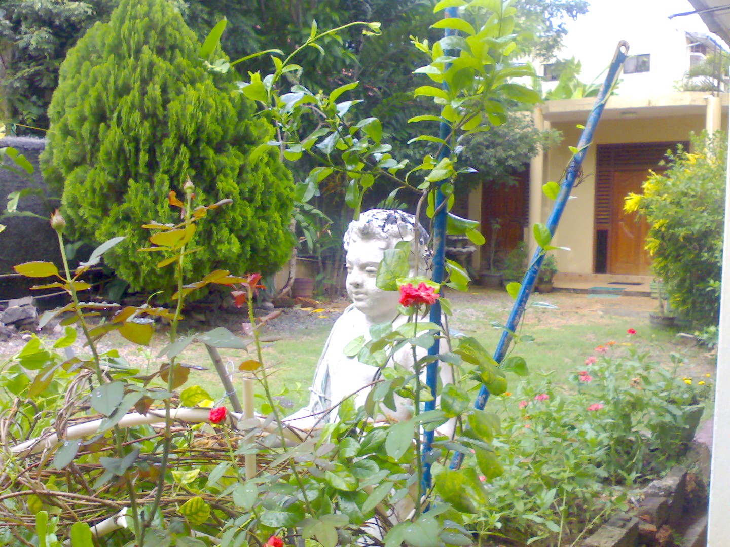 Mount Lavinia House for sale/rent