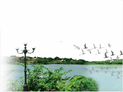Battaramulla Bare Land for sale/rent
