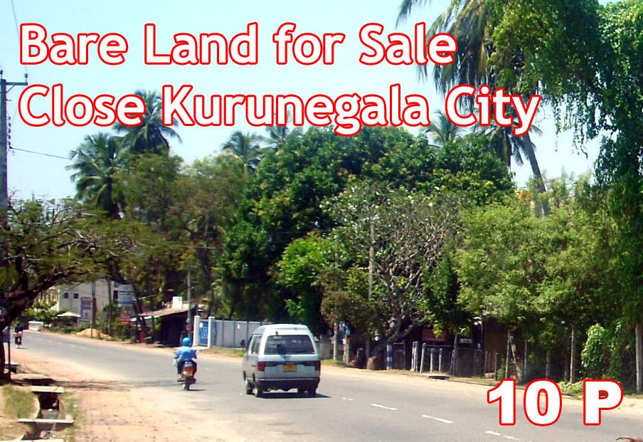 Kurunegala Bare Land for sale/rent