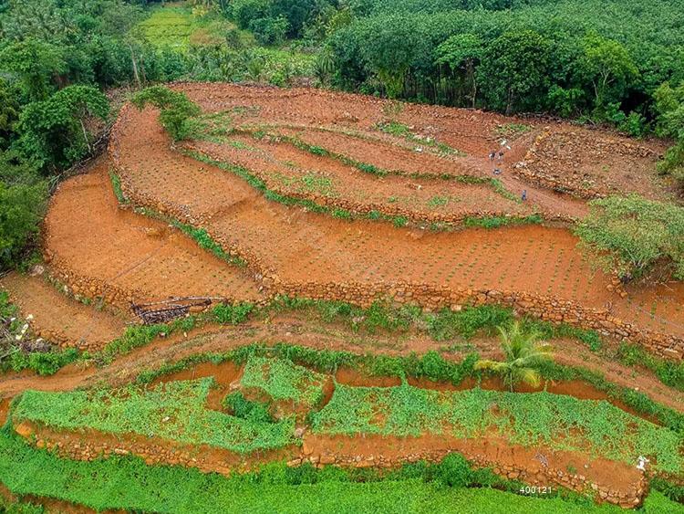 Cultivated Land for sale in Mirigama Eco Friendly Agricultural Land