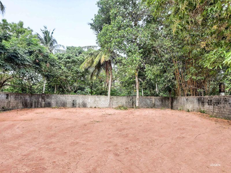 Bare Land for sale in Negombo Land For Sale Kattuwa Negombo