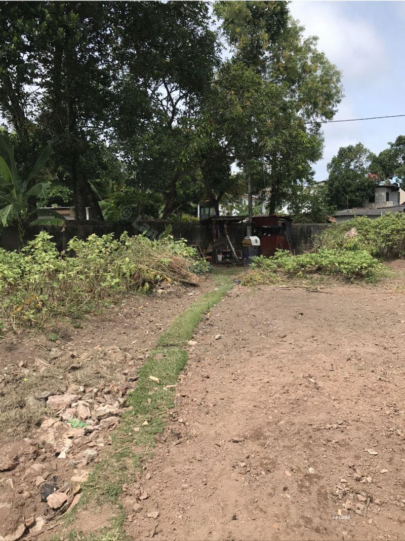 Bare Land for sale in Colombo 5 14.17 Perches Bare land Colombo 5