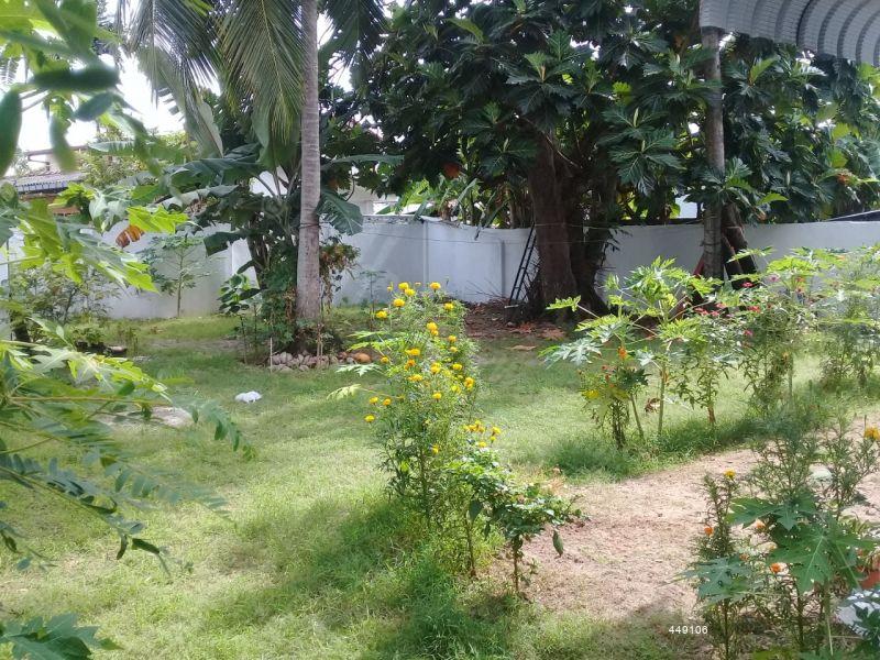 Land with house for sale in Colombo 7 Old House With Land for Sale in